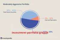 investment portfolio growth