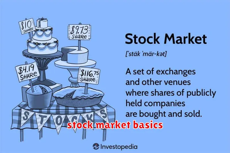 stock market basics