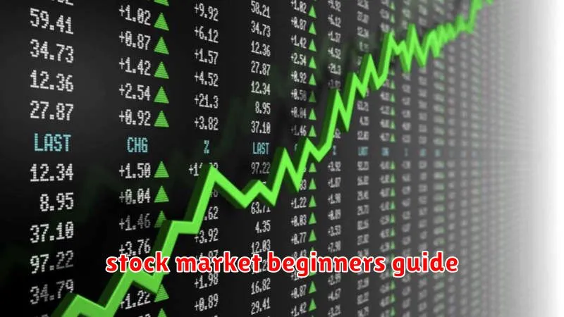 stock market beginners guide